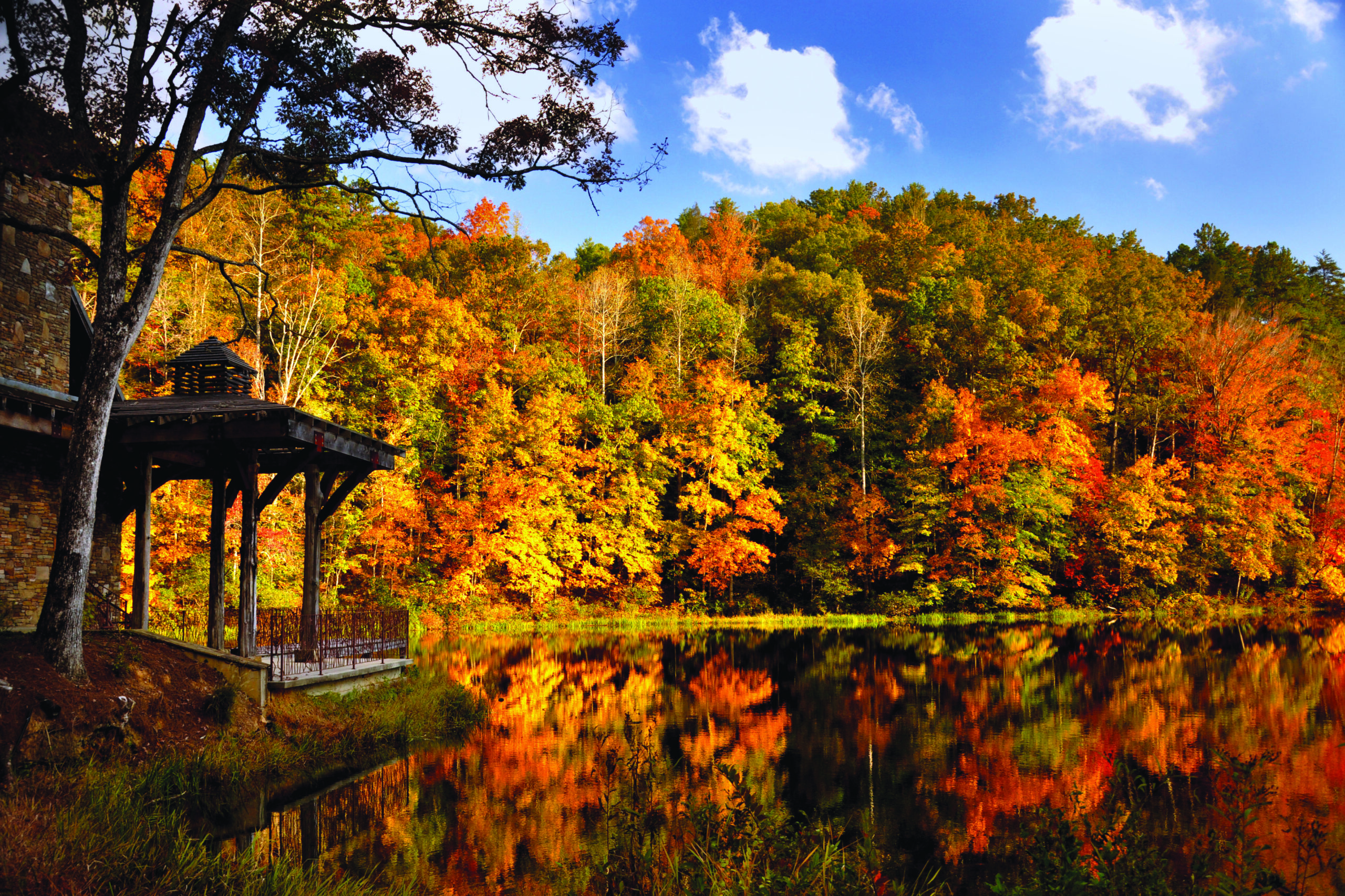 fall at the cliffs