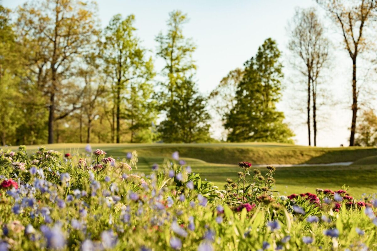 Events at the cliffs