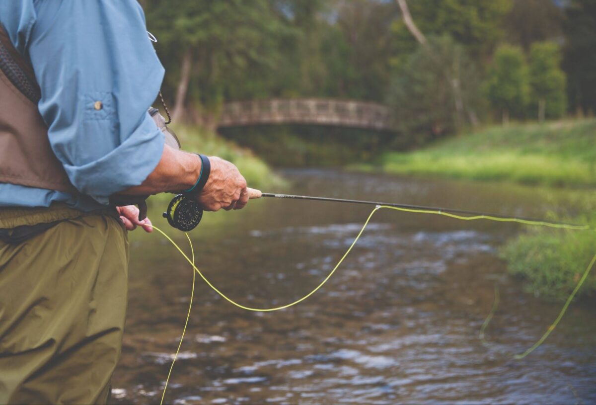 things to do near greenville sc