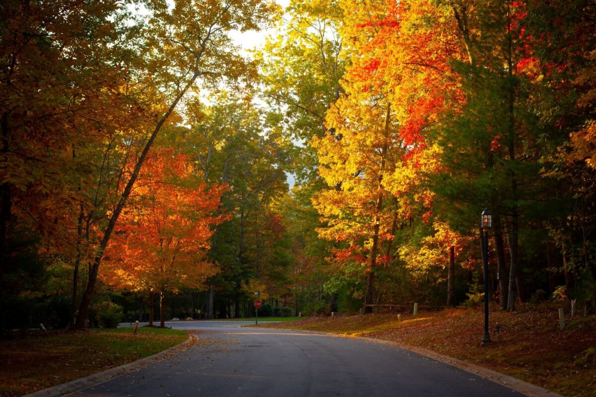 Blue ridge mountains in the fall